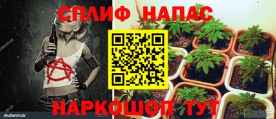 крисы Конаково