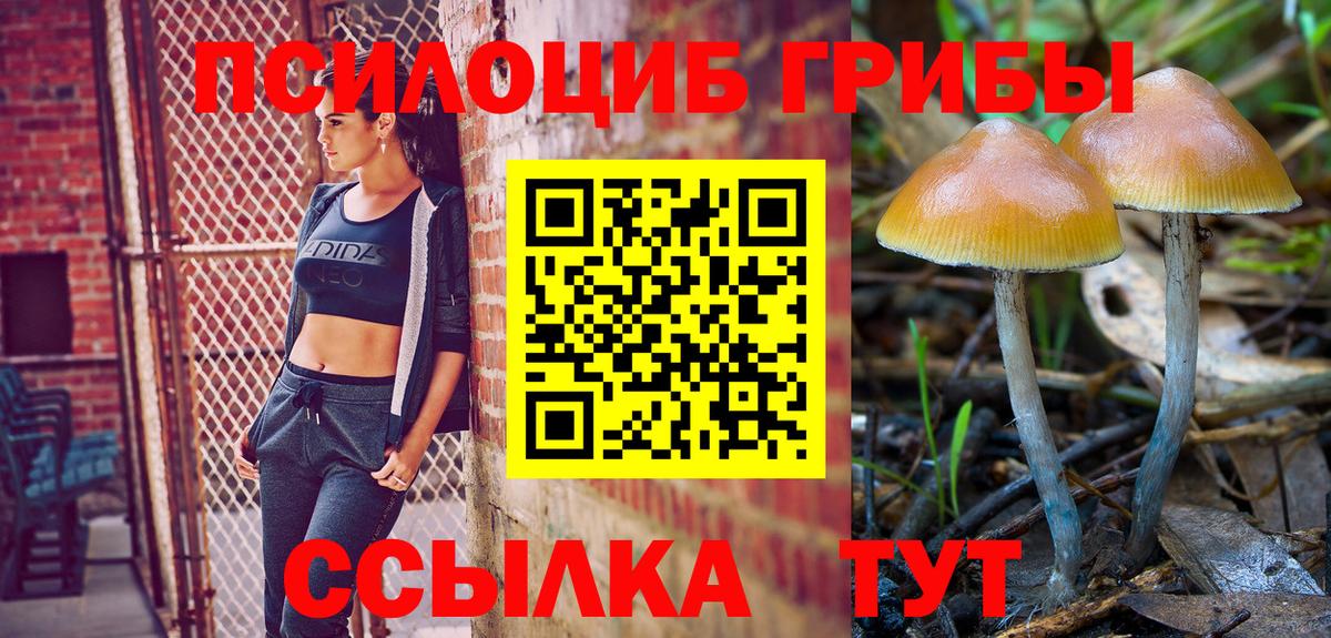 Псилоцибиновые грибы мицелий Арзамас